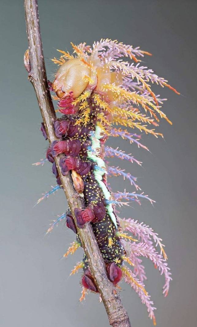 Подборка прикольных картинок