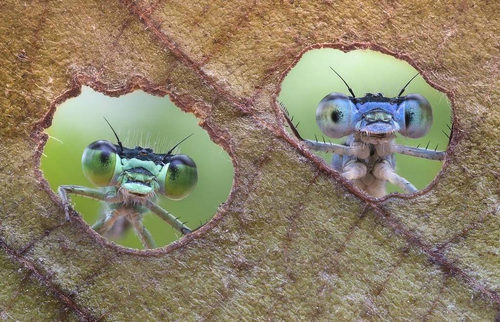 Подборка прикольных картинок