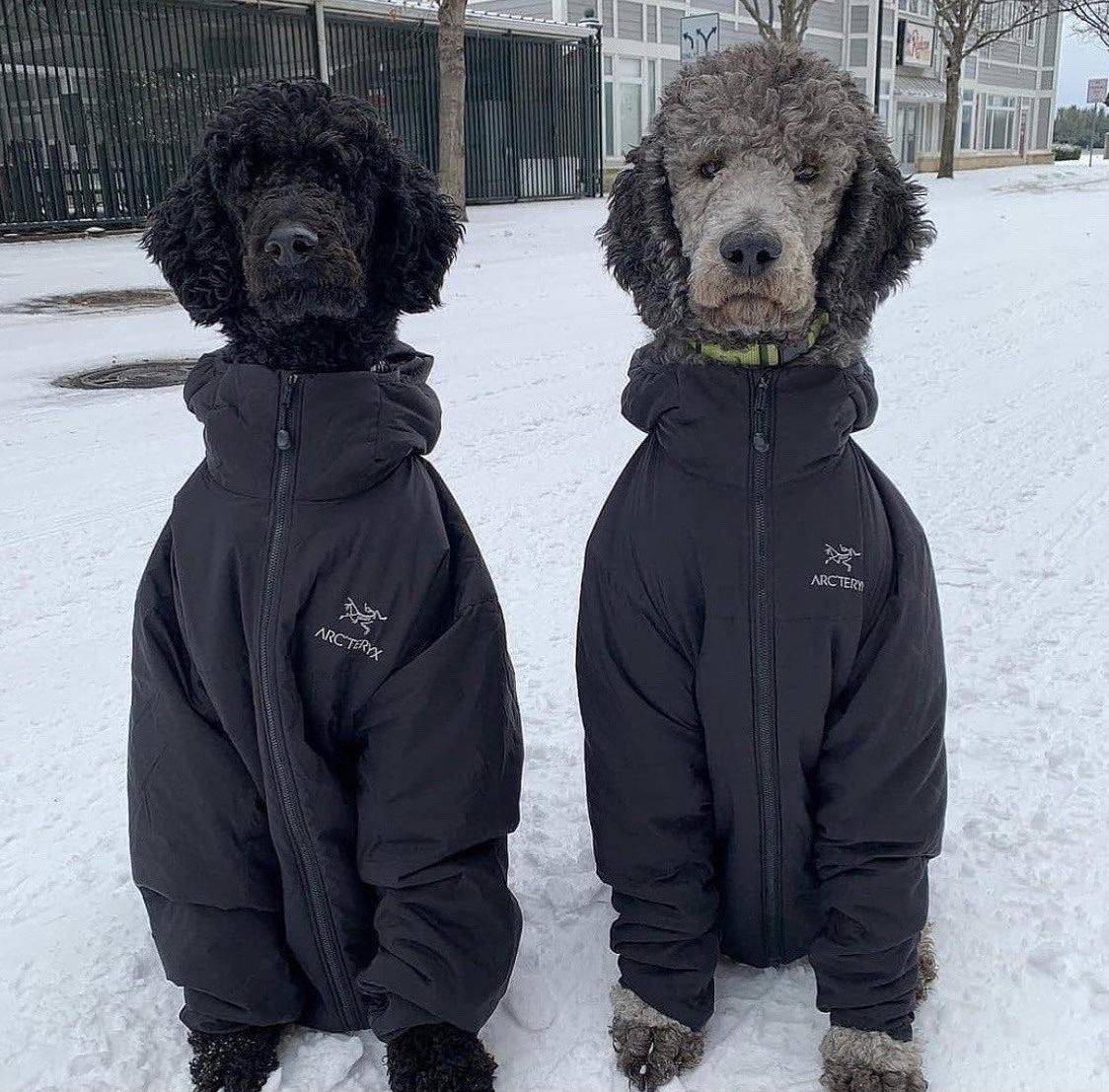 Подборка прикольных картинок