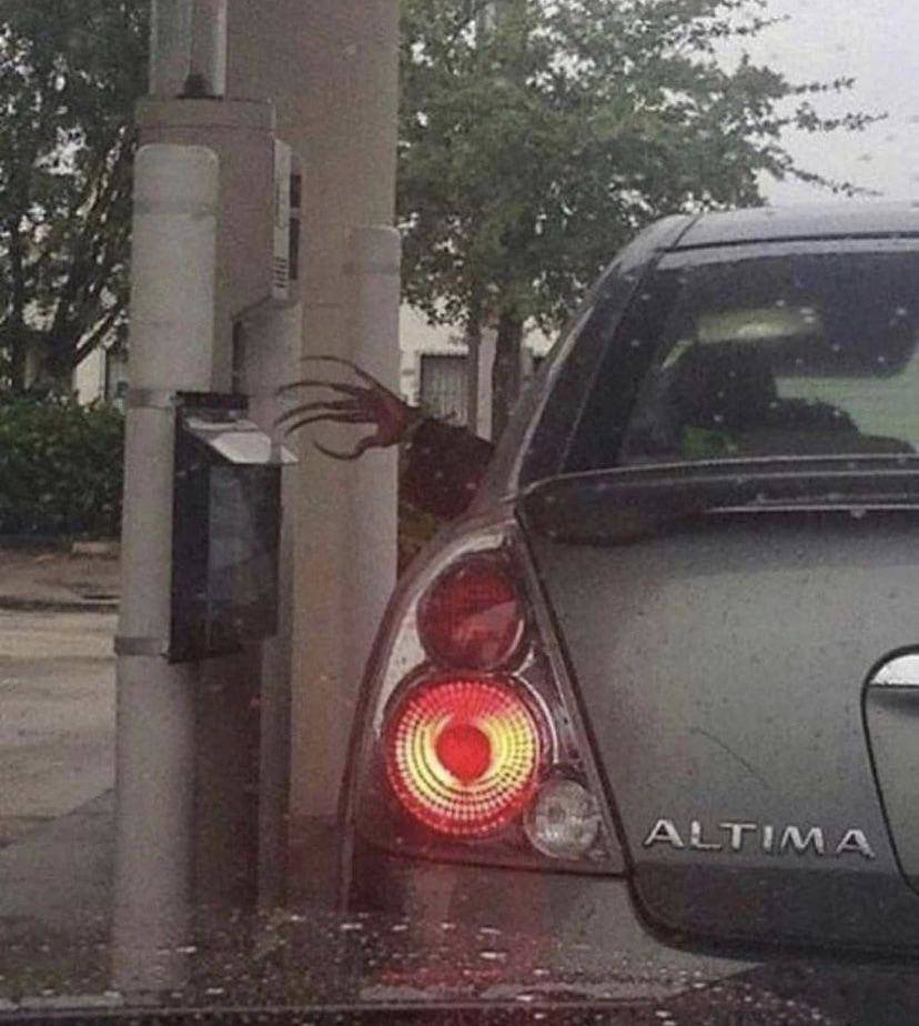 Подборка прикольных картинок