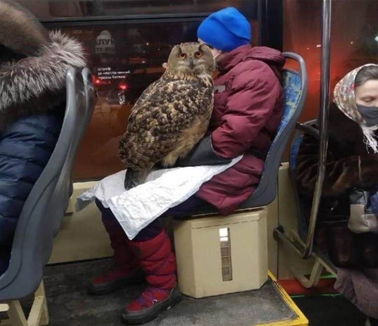 Подборка прикольных картинок